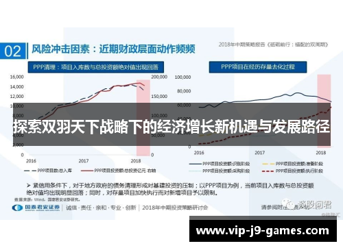 探索双羽天下战略下的经济增长新机遇与发展路径