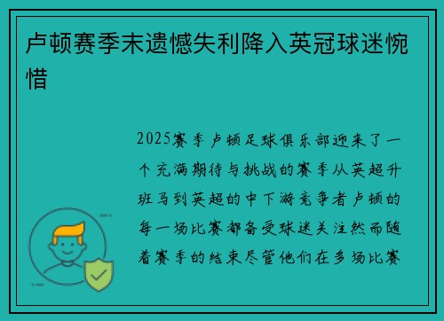 卢顿赛季末遗憾失利降入英冠球迷惋惜 卢顿赛季末遗憾失利降入英冠球迷惋惜